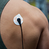 Earthing Patch Kit Grounding The Back Pain.Png